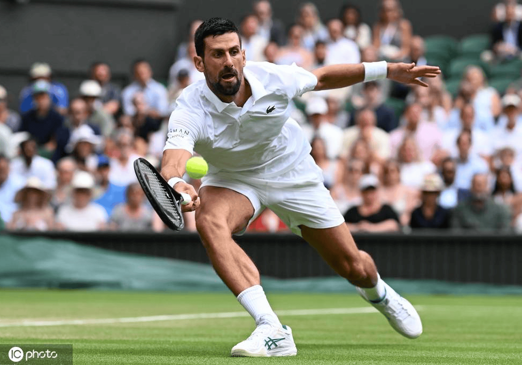 XingKong-关于德约科维奇关键节点战术调整，日本队带队取胜！的信息